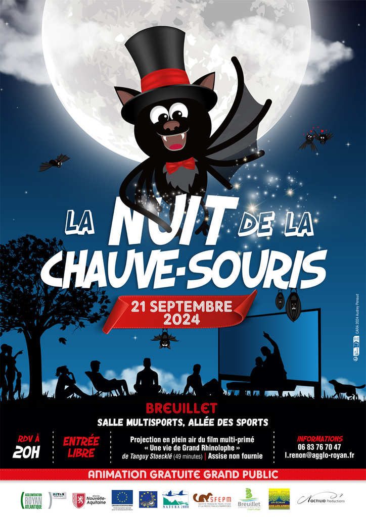 chauve souris