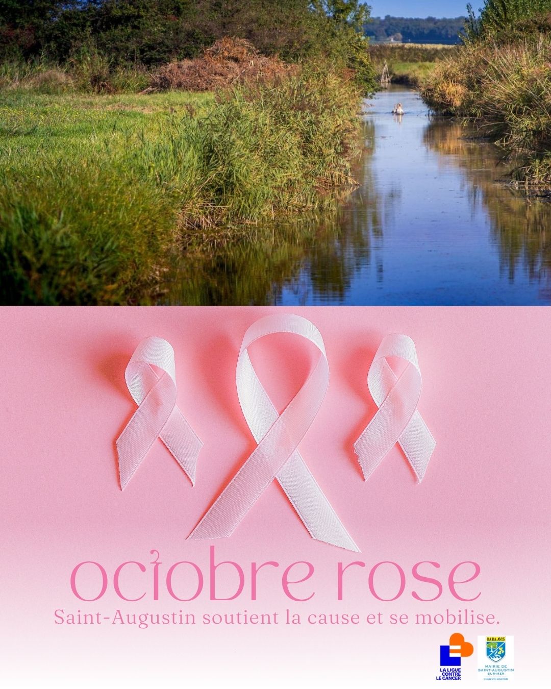 LE MOIS ROSE
